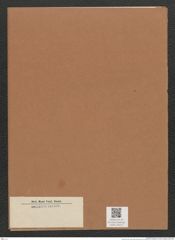 Diatomeae indet. Zeichnungen Sammlung Grunow Mappe 03273 (Herbarium_W_Grunow_drawings_Folder_03273)